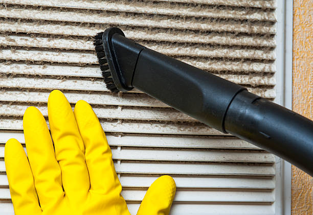 Best Professional Duct Cleaning Services  in South Taft, CA