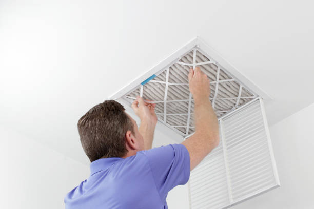 Best Air Duct Mold Removal  in South Taft, CA